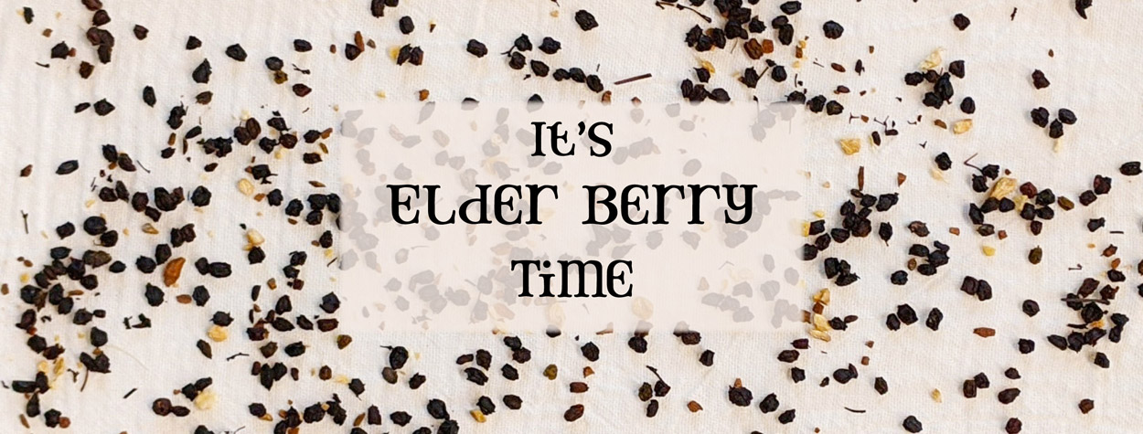 Elderberry Kit Sale